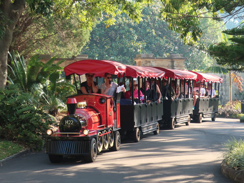 Miniature Train, Sydney Australia