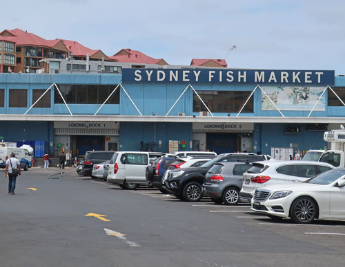 Sydney Fish Market
