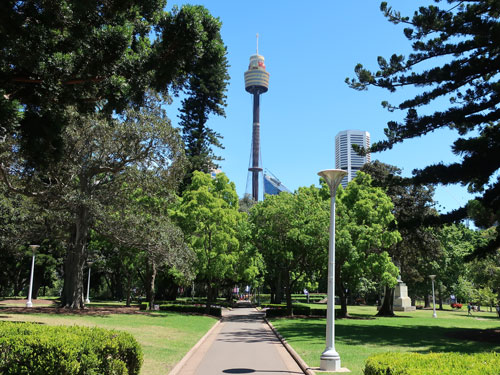 Sydney Tower